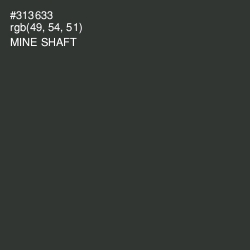 #313633 - Mine Shaft Color Image